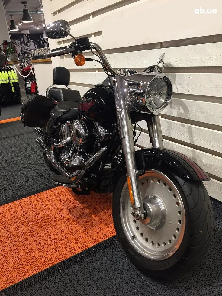 Harley-Davidson FLSTF  Image 7